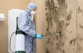 Best Comprehensive Air Testing for Mold Contaminants  in Gibson, AR